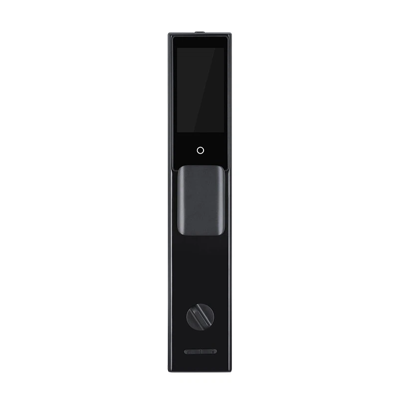 biometric face recognition door lock