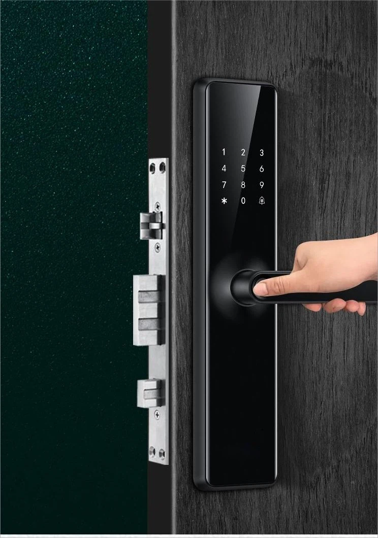 commercial biometric door lock